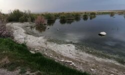 البرز و قزوین برای حذف شبکه زهکشی به توافق نهایی رسیدند / ۱۰ میلیارد تومان برای این منظور اختصاص یافت