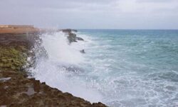 هشدار دریایی سطح زرد در خلیج فارس / موج دریا تا ۱۸۰ سانتیمتر افزایش می‌یابد