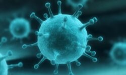 مدارس و مراکز آموزش عالی هرمزگان دو روز غیرحضوری میشوند