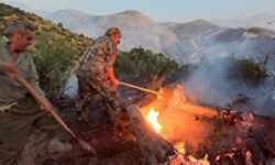 حریق در جنگلهای هیرکانی گرگان / آتش در توسکستان به پیش می رود