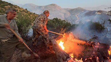 حریق در جنگل‌های هیرکانی گرگان / آتش در توسکستان به پیش می رود