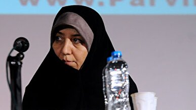 عطایی: هدف مصوبه از اول تحکیم خانواده بوده است؛ مجلس نگرانی‌ها را پیگیری می‌کند + فیلم