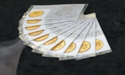 اعلام زمان بعدی حراج سکه طلا از سوی بانک مرکزی