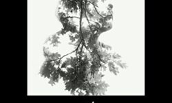 اعظم آیتی نویسنده و منتقد درگذشت