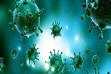 ثبت اولین مرگ ناشی از آنفلوآنزای H ۳ N ۲ در هرمزگان