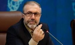 توضیحات دبیر کل ستاد مبارزه با مواد مخدر در مورد کشت خشخاش در ایران /ذوالفقاری: به جای خشخاش “شقایق اولیفرا” می‌کاریم