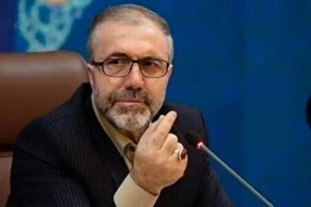 توضیحات دبیر کل ستاد مبارزه با مواد مخدر در مورد کشت خشخاش در ایران /ذوالفقاری: به جای خشخاش “شقایق اولیفرا” می‌کاریم