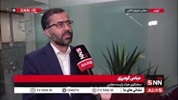 توضیحات سخنگوی هیات رئیسه در خصوص مصوبه مجلس در خصوص مهریه / گودرزی: مجلس سقفی برای مهریه تعیین نکرده است