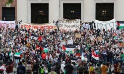 بسیج جهانی و مبارزان جبهه مقاومت و تا فتح قلههای جهانی از پای نخواهند نشست