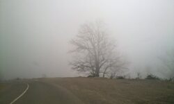 احتیاط کنید/ مه غلیظ صبحگاهی در محورهای چهارمحال و بختیاری