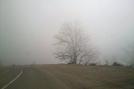 احتیاط کنید/ مه غلیظ صبحگاهی در محورهای چهارمحال و بختیاری