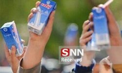 هفته آینده شیر در مدارس ابتدایی خراسان جنوبی توزیع می‌شود