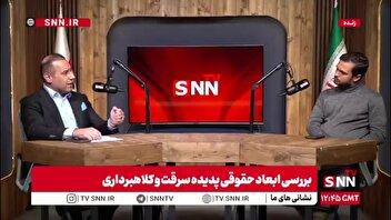 وکیل دادگستری: در رابطه با شرکت هایی که قصد کلاهبرداری دارند باید پیشدستانه عمل کرد