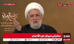 شیخ نعیم: حزب‌الله الگوی موفق مقاومت در میدان نبرد و عرصه اجتماعی است