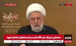 شیخ نعیم قاسم: در لبنان فقط یک مشکل داریم و آن حملات رژیم صهیونیستی است