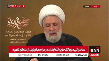 شیخ نعیم قاسم: در لبنان فقط یک مشکل داریم و آن حملات رژیم صهیونیستی است