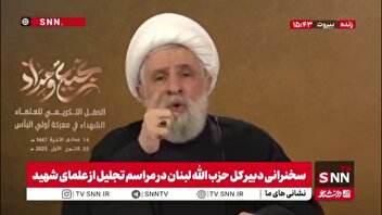 شیخ نعیم قاسم: آمریکا و اسرائیل حقی برای دخالت در تصمیمات لبنان ندارند