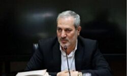 بحری زاده: کتابهای درسی حجیم و فرصت سوز هستند