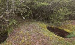 فرمانده یگان حفاظت میراثفرهنگی مازندران: ۲۰ حفار غیرمجاز در سوادکوه دستگیر شدند