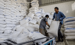 توزیع ۱۵۴ هزار کیسه آرد بین عشایر لرستان