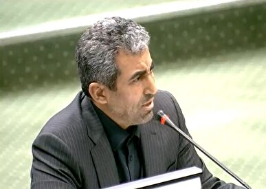 پور ابراهیمی: یک چهارم تورم کشور مربوط به بانک‌هاست + فیلم