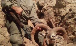 شکارچیان منطقه کرکس در دام محیط‌بانان