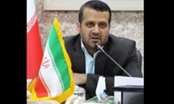 تمدید حکم وحید آرایی به عنوان مدیر گروه تخصصی سیاست پژوهی در علوم انسانی سازمان «سمت»