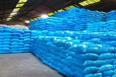 توزیع ۴۱ هزار تن کود اوره یارانهای در استان مرکزی