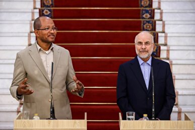 رئیس نمایندگان مجلس اتیوپی: امیدوارم روابط ایران و اتیوپی توسعه پیدا کند+فیلم