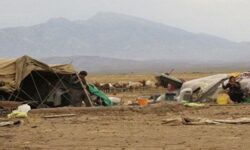 سیلاب، بخش عشایری ایلام را متضرر کرد/آسیب ۵۰ درصدی راههای عشایری