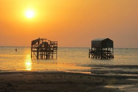 اراده‌ای برای تخصیص اعتبار برای بندر چوب گلستان وجود ندارد