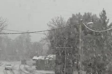 سی‌سخت سفیدپوش شد+فیلم