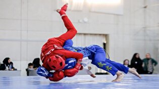 فدراسیون ووشو به قهرمان سابق جهان اعتماد کرد/ آزمون سخت سرمربی جدید