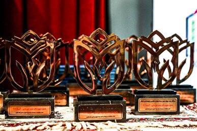 دانشجوی دانشگاه تربیت مدرس برگزیده چهارمین جشنواره علمی پژوهشی ایثار شد