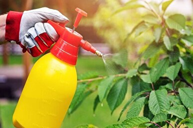 آفتکشها میکروبهای مفید روده را به خطر میاندازند