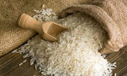 قیمت برنج در میادین و بازارهای میوه و تره بار اعلام شد
