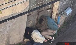 نقض حقوق بشر در کرانه باختری / یورش صهیونیستها به قبطیه و بازداشت خشونتآمیز جوانان