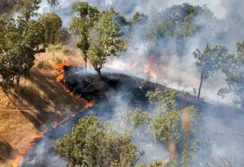 آتش سوزی در جنگل های هیرکانی مازندران