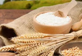 چالش‌های صنعت آسیابانی؛ از کمبود سرمایه در گردش تا ضرورت به‌روزرسانی نرخ‌ها