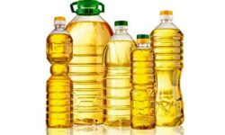 رئیس اتاق اصناف: اصناف روغن احتکار نکردند