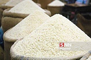 بازار برنج خراسان جنوبی بدون تنش می‌ماند / ترخیص مرحله‌ای برنج پاکستانی