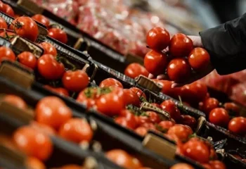 قیمت روز میوه 20آبان 1404 / افزایش شدید قیمت گوجه فرنگی