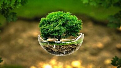 انتقاد کارشناسان از سهم ناچیز محیط زیست از بودجه ۱۴۰۵