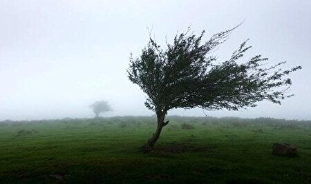 پیش‌بینی وزش باد گرم در گیلان