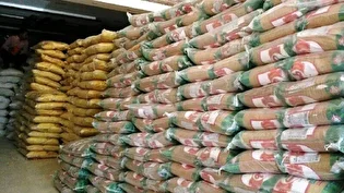 ۶۱ هزار و ۴۵۷ تن کالای اساسی احتکاری کشف و ضبط شد